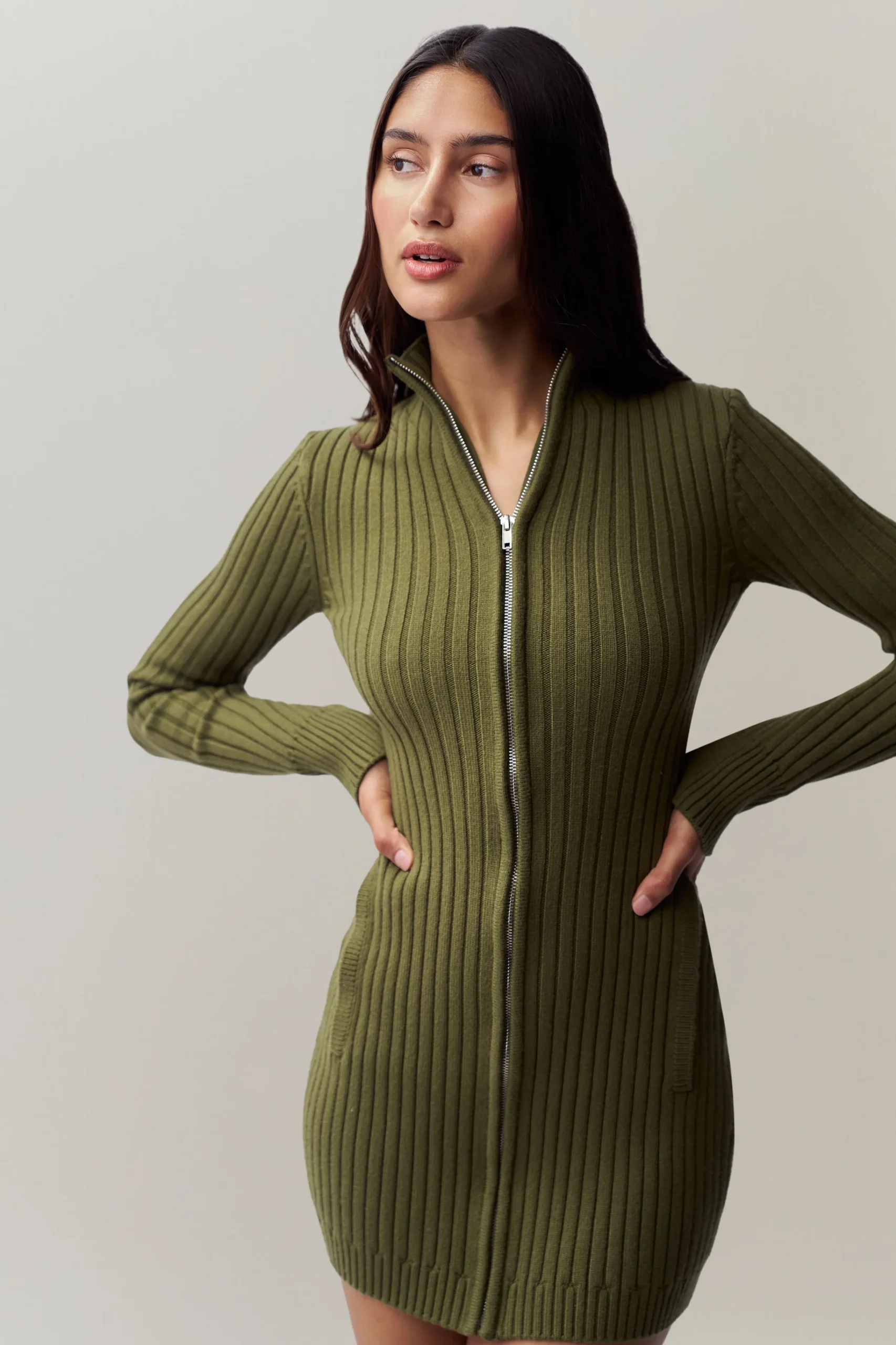 GUIZIO Nell Zip Up Dress- Mini Dresses